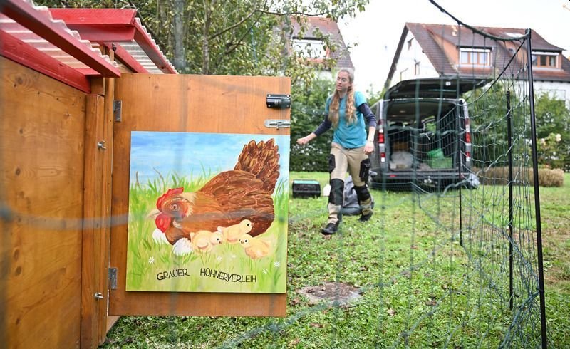 Chicken road 2 geld verdienen, chicken road 2 spielen